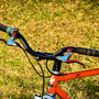 DSC 6419 copy